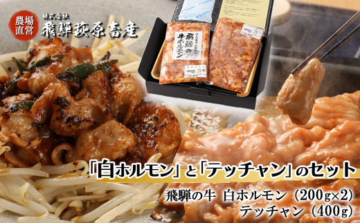 
飛騨の牛白ホルモン（200g×2袋）テッチャン（400g）セット 国産 牛肉 ブランド牛 和牛 牛ホルモン 味付き 味付け 焼くだけ ホルモン おすすめ 【冷凍配送】
