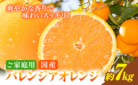 【ご家庭用訳あり】希少な国産 バレンシアオレンジ 約7kg