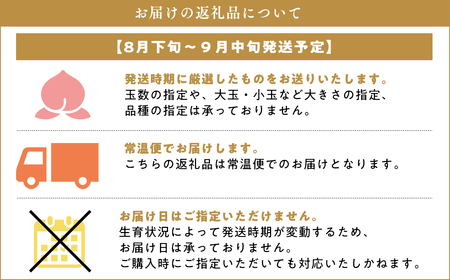 ≪8月下旬～9月中旬発送予定≫ 津軽の桃 川中島白桃 約5kg 秀品 フルーツ 果物 桃 もも モモ 白桃 ピーチ 青森県 平川市 平川市産 川中島 光センサー 贈答 お取り寄せ デザート 先行予約
