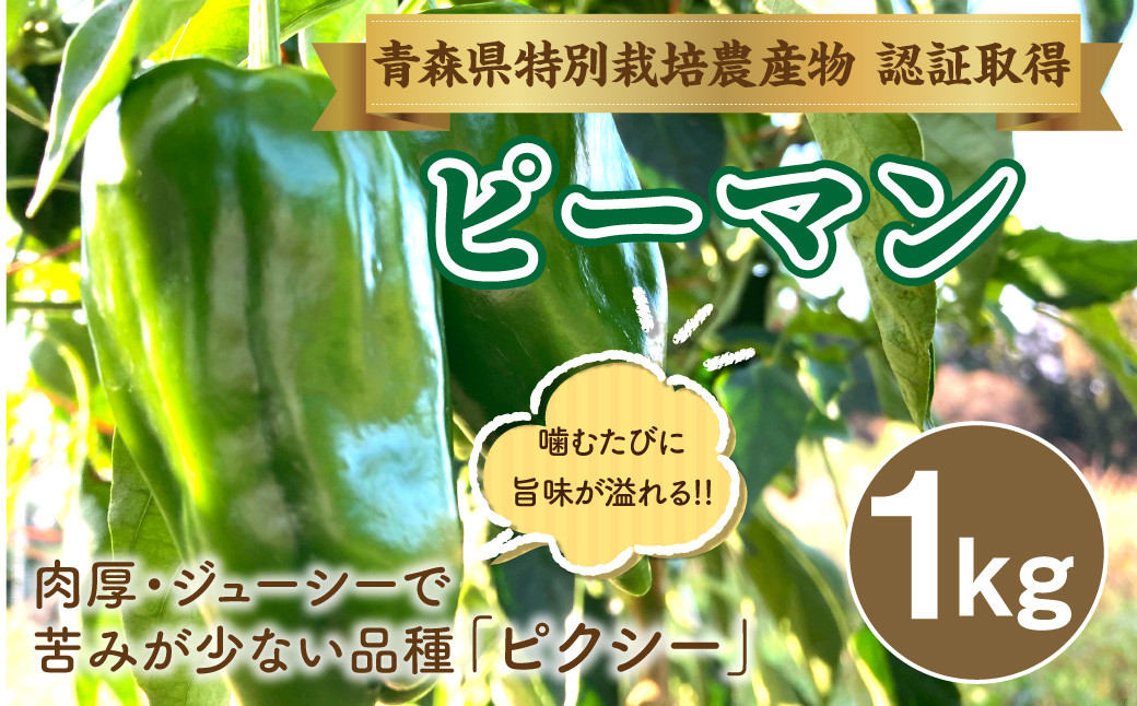 【青森県特別栽培】ピーマン 1kg ピクシー 【8月上旬～10月前半発送】