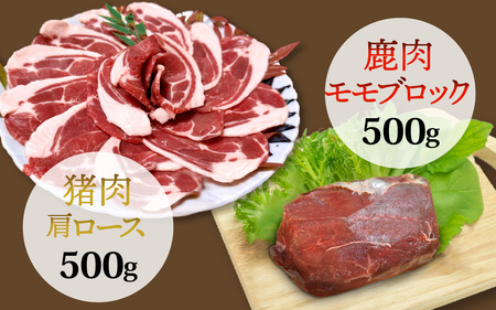 能登・穴水産 天然 猪肩ロース ＆ 鹿モモブロック 各500g 計1kg | ジビエ 冷凍