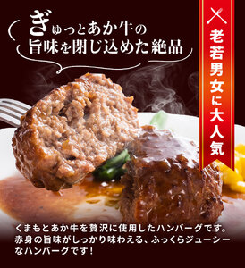 GI認証取得 くまもとあか牛100％使用 くまもとあか牛ハンバーグ 150g×10パック あか牛 ハンバーグ 牛肉 肉 国産 九州産 熊本県産 冷凍《30日以内に出荷(土日祝除く)》