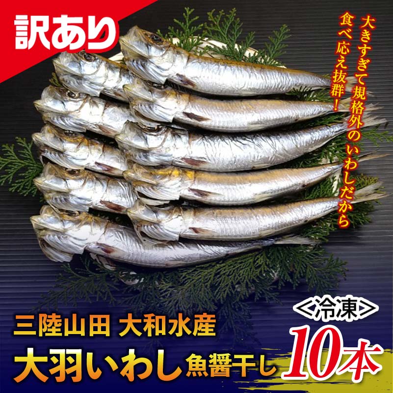 【訳あり】大和水産の大羽いわし（魚醤干し）10本 マイワシ まいわし YD-830