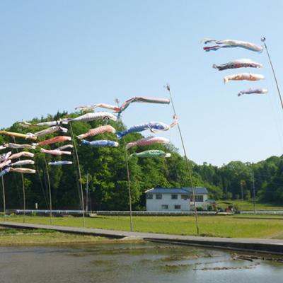 ふるさと納税 三原市 瀬戸内三原 羊飼いのこしひかり 白米 1.8kg(栽培期間中無肥料無農薬) [002-016] |  | 03