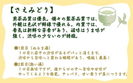 【 R8年産 】種子島 射場貴大 茶園 「さえみどり」 「あさつゆ」 「なんめい」 「やぶきた」 茶ツウ が 喜ぶ 単品 味わい セット　NFN573【300pt】// 日本茶 緑茶 希少品種 お茶 