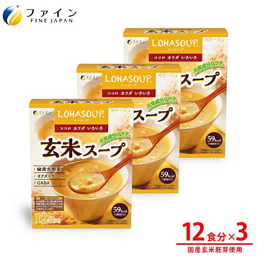 【ふるさと納税】G-151　LOHASOUP 玄米スープ12袋×3個セット