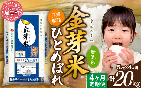 金芽米 定期便5kg×4回 金芽米