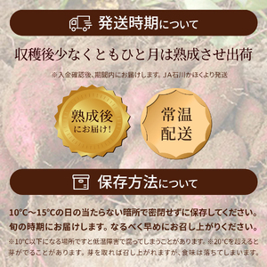 【先行予約】かほっくり 5kg （1箱）  |  さつまいも さつまいも