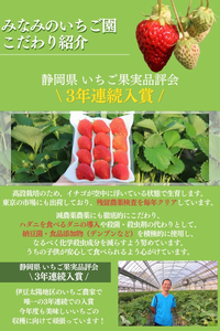 【令和6年2月から順次発送】完熟いちご300g 2パック（DXパック）紅ほっぺ、よつぼし、恋みのり　から厳選　【いちご イチゴ 苺 紅ほっぺ よつぼし 恋みのり 果物 フルーツ 静岡県産 ふるさと納税