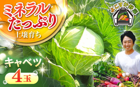 【先行予約】キャベツ　4玉（11月〜3月）【鈴也ファーム】[AKCE017]