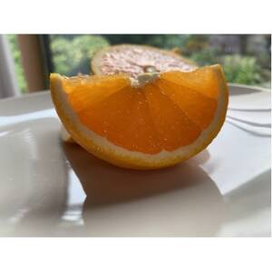 ともんちのみかん清見ジュース 720ml×3本(計2160ml)【E91-1】【1639242】