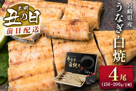 前日配送予約［土用丑の日］うなぎ白焼き 4尾 タレ付（150～200g/1尾あたり）※前日7月25日お届け 国産 有頭 熨斗 贈答品 ギフト 配送日指定可【N46-A26】