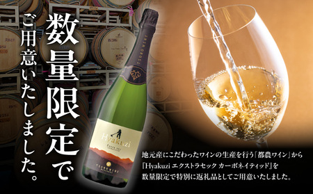 【数量限定】Hyakuzi エクストラセック カーボネイティッド(計1本) _T014-007【 酒 飲料 アルコール 国産 人気 ワイン ギフト ワイン 食品 ワイン お酒 ワイン飲み比べ ワイン 