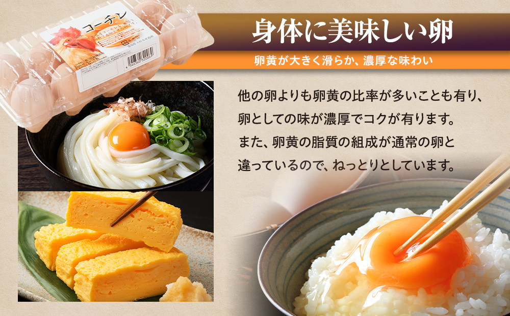 【3か月定期便】日本三大地鶏！！ 「純系　名古屋コーチンの卵」（30個）　本当に美味しい食べ物は調味料の味に負けません！