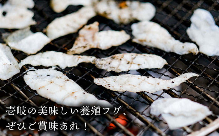 【全3回定期便】焼きふぐ 40g × 6パック 定期便 ふぐ フグ とらふぐ [JDT051] 81000 81000円