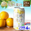 【ふるさと納税】 サンA 日向夏酎ハイ「 乾杯果汁 」缶（350ml×24本）【6ヶ月定期便】【 全6回 飲料 アルコール 度数3% お酒 リキュール チューハイ 宮崎県産 川南町 送料無料 F3010-t6 】