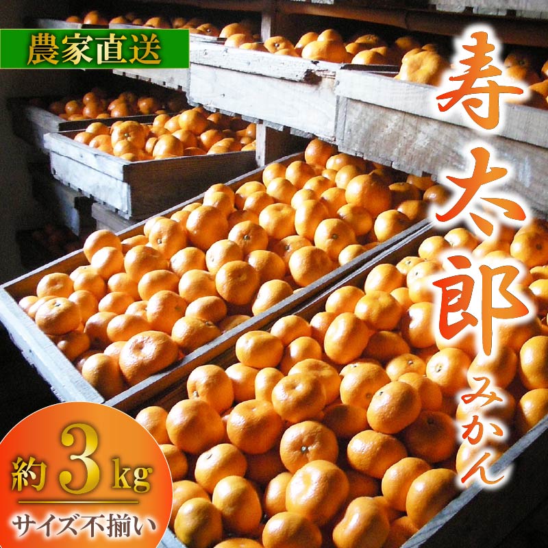 【ふるさと納税】 訳あり 寿太郎みかん 3kg 産地直送 柑橘 フルーツ 果物 蜜柑 オレンジ ご家庭用 みかんジュース 国産 和歌山 愛媛 季節限定 贈答用 ギフト 箱買い 甘い 手作り スイーツ ビタミンC 冬 旬 健康 美容 沼津市 静岡県