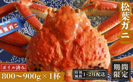 
            【期間限定配送！1～2月末の発送希望の方へ！】松葉ガニ800g～900g〈ボイル〉マツバガニ 冬の旬。贅沢の極みをご家庭で
松葉カニ マツバカニカニ 蟹 特大 大きい 新鮮 旬 プレゼント 贈与 お祝い事 贈り物  祝辞 隠岐 西ノ島町
          