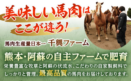 馬スジのカレー 10食 210g×10 計2.1kg 【株式会社 千興ファーム】[AYAF027]