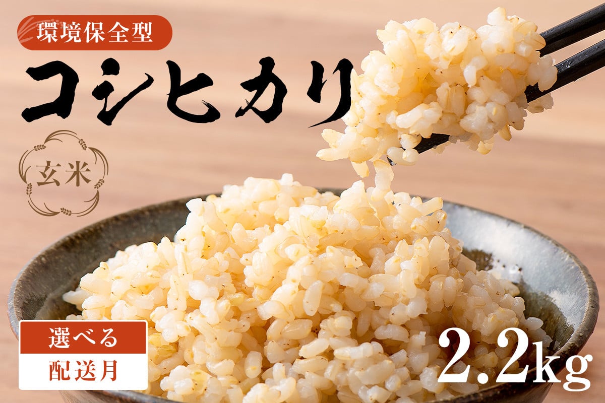 
            【配送月が選べる】環境保全型コシヒカリ 玄米2.2kg【2024年産】 mi0036-0007
          