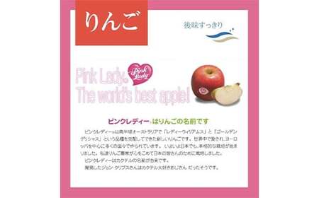 【2026年3月発送開始】希少品種ピンクレディ 山形県産 りんご（ピンクレディー）2kg 化粧箱入り FSY-2595