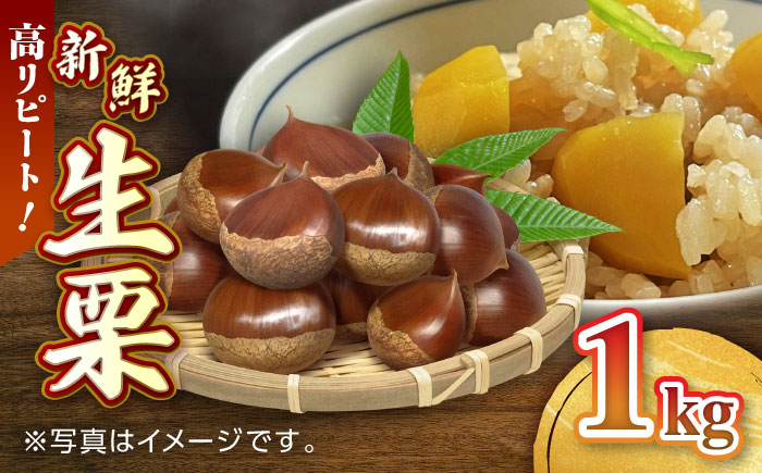 
            【先行予約】【9月より順次発送】新鮮　生栗 1kg【「のん気・元気」百姓家】 [YAL019]
          