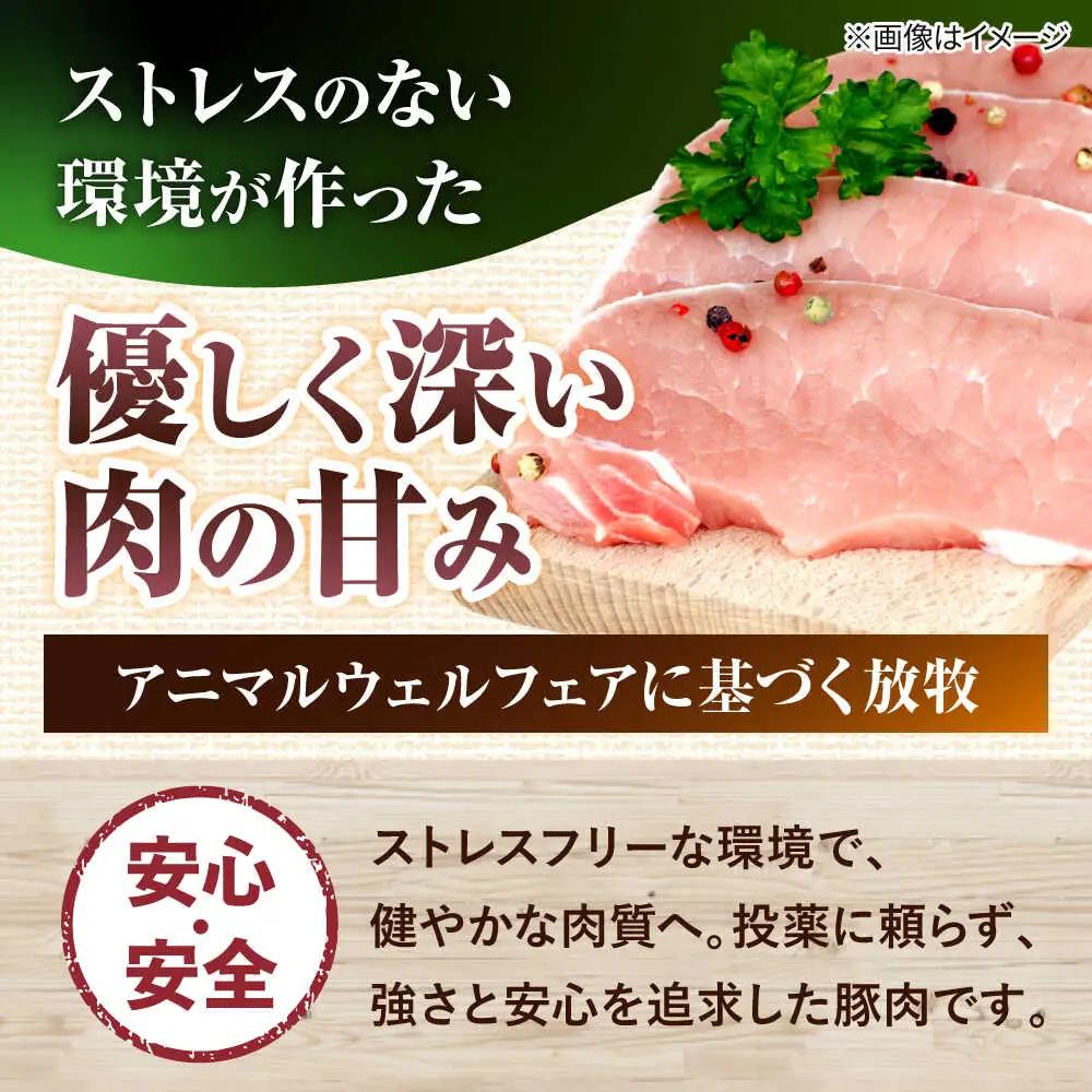 レバー  命豚レバー好きセット BCAR001 おつまみ