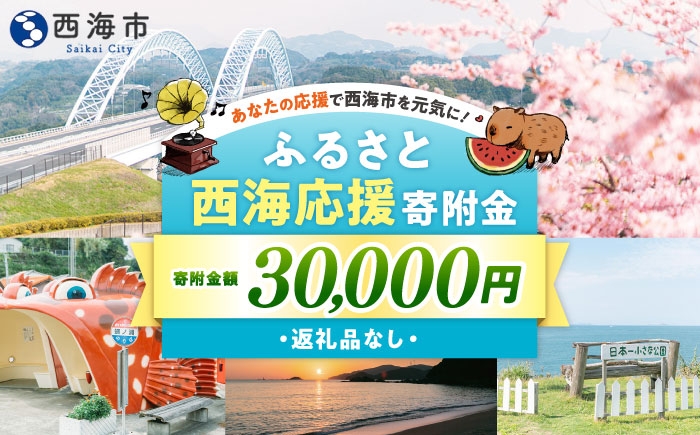 
            【返礼品なし】 長崎県 西海市 ふるさと応援寄附金（30,000円分） [CZZ034]
          