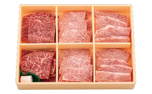 [B174p］ 長崎和牛3種盛り焼肉食べ比べセット(計480g) 牛肉 国産 ブランド 和牛 黒毛和牛 焼き肉