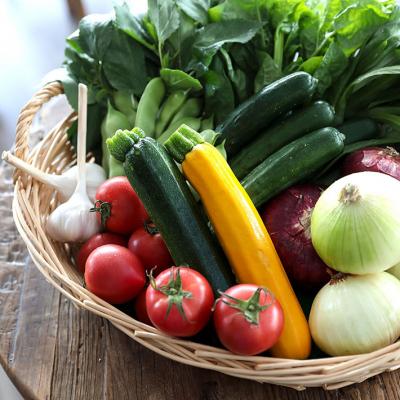 ふるさと納税 庄内町 【定期便】新鮮野菜 5~8種類×6ヶ月 産直施設「あっでば」直送【9月中旬発送】 |  | 01