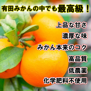 BD7005_有田の高級みかん【田村みかん】秀品！たっぷり 10kg ギフトにもオススメ (S～Lサイズおまかせ) 2025年1月発送