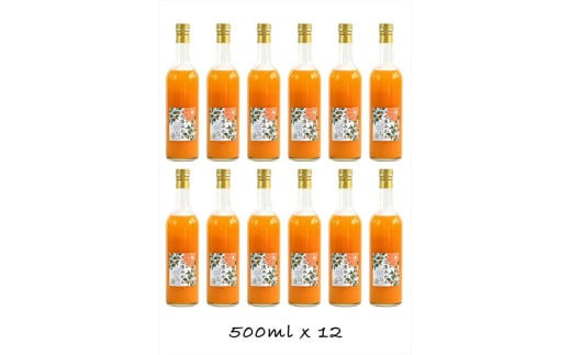 【定期便（2カ月ごと全4回）】小田原産江之浦みかん１００％ストレートジュース５００ml１２本 142069_GJ036