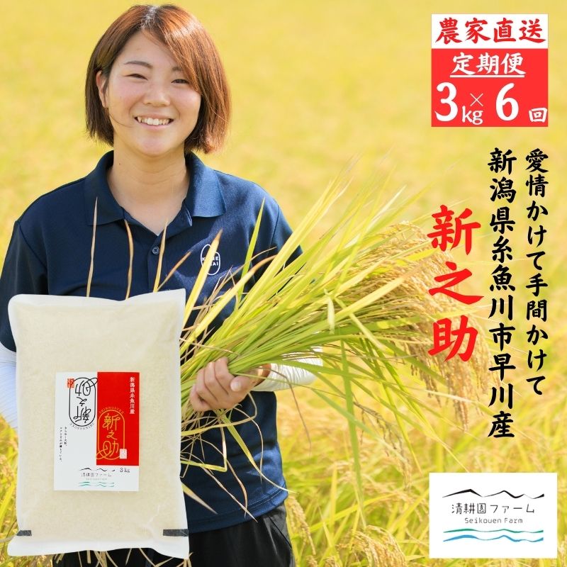 【ふるさと納税】 令和7年産 『新之助』 【6ヶ月定期便】 3kg ×6回 毎月お届け (計18kg) 真空パック農家直送 新潟県産 新潟 糸魚川 清耕園ファーム 農家自慢 お米 白米 おにぎり お弁当 大粒 ツヤ 甘み 深い味わい 粘り 弾力 米