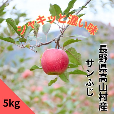 
                  ＜完熟＞サンふじ家庭用りんご 5kg＜長野県高山村産＞【1698338】
                