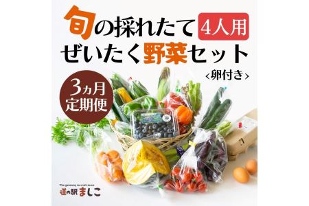 野菜 定期便 卵付き 旬の野菜セット 4人用 【3回】 益子町 AA006