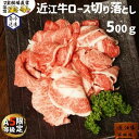 【ふるさと納税】【宝牧場】A5限定近江牛ロース切り落とし500g