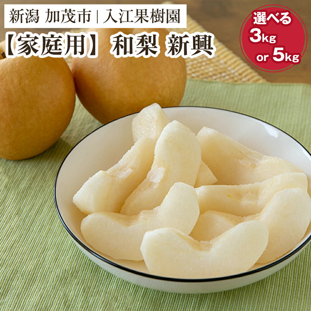 【ふるさと納税】【2026年先行予約】【家庭用】和梨 新興 選べる「3kg」or「5kg」《10月中旬～順次出荷》 しんこうなし 果物 フルーツ ナシ 新潟産 加茂市 入江果樹園