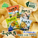 【ふるさと納税】【4ヵ月連続お届け】JAふらのポテトチップス【ふらのっち】24袋入り×4種類 ふらの農業協同組合(南富良野町) 芋 菓子 スナック じゃがいも お菓子 ポテチ 定期便　【定期便・スナック お菓子 詰合せ コンソメ うすしお のり塩 ガーリック】