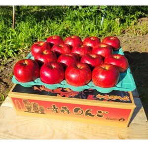 【訳あり】青森県産りんご「サンつがる　家庭用」約5kg　産地直送!_果物・フルーツ りんご  リンゴ 林檎_【配送不可地域：離島】【1513092】