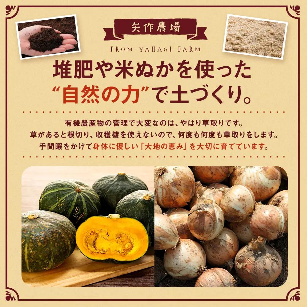 【先行受付】R8年産 有機栽培玉ねぎ・かぼちゃセット 合計20kg | 玉ねぎ たまねぎ タマネギ 玉葱 かぼちゃ カボチャ 南瓜 セット 詰め合わせ 大容量 オニオン パンプキン 甘い 有機栽培 国