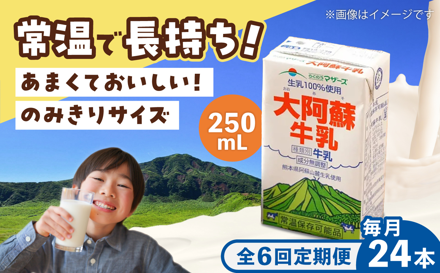 【全6回定期便】大阿蘇 牛乳 250ml(24本入り) / 阿蘇 熊本 乳牛 生乳 牛乳 ミルク 無調整 自然 らくのう 【合同会社 たべたせいか】 [BHBY023]