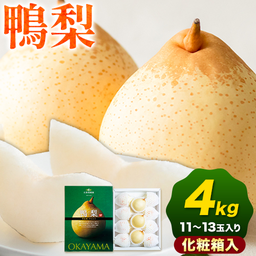 【先行予約】梨 なし 鴨梨 ヤーリー 梨 化粧箱入 4kg (11～13玉入り) 石原果樹園 《2026年11月中旬-12月下旬頃より発送予定》岡山県 浅口市 果物 フルーツ お取り寄せ お取り寄せフルーツ 送料無料