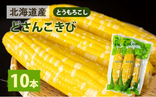 
北海道産 とうもろこし 10本 どさんこきび レトルト 保存 真空
