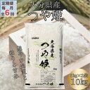 【ふるさと納税】【毎月定期便】大分のお米　大分県産つや姫5kg×2(日出町)全6回【4050497】
