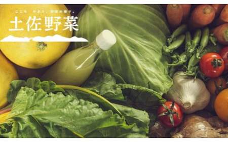 野菜の詰め合わせと無農薬生姜200g付き  | 野菜 国産 野菜 高知県産 野菜 人気 野菜セット