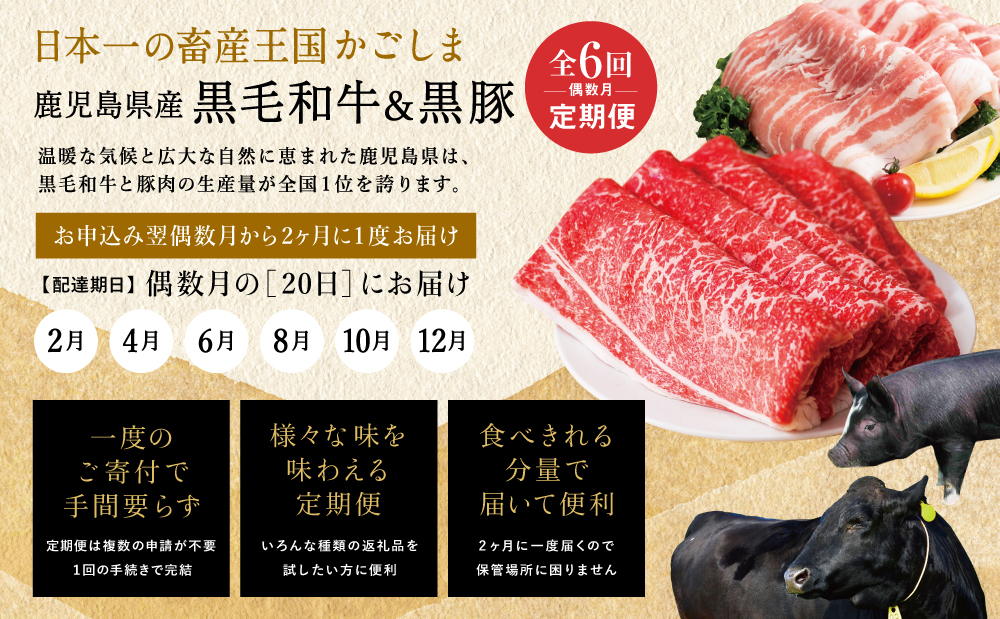 【定期便 全6回】スターゼン厳選お肉の定期便（鹿児島県産黒毛和牛・黒豚） 牛肉 豚肉 サーロイン ステーキ 切り落とし しゃぶしゃぶ 焼肉 すき焼き もも モモ バラ ロース スライス 小分け 定期便 冷凍 スターゼン 南さつま市