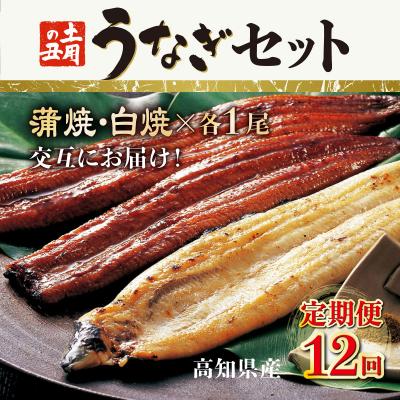 ふるさと納税 室戸市 蒲焼き・白焼きを交互にお届け!国産うなぎ1尾【全12回定期便】