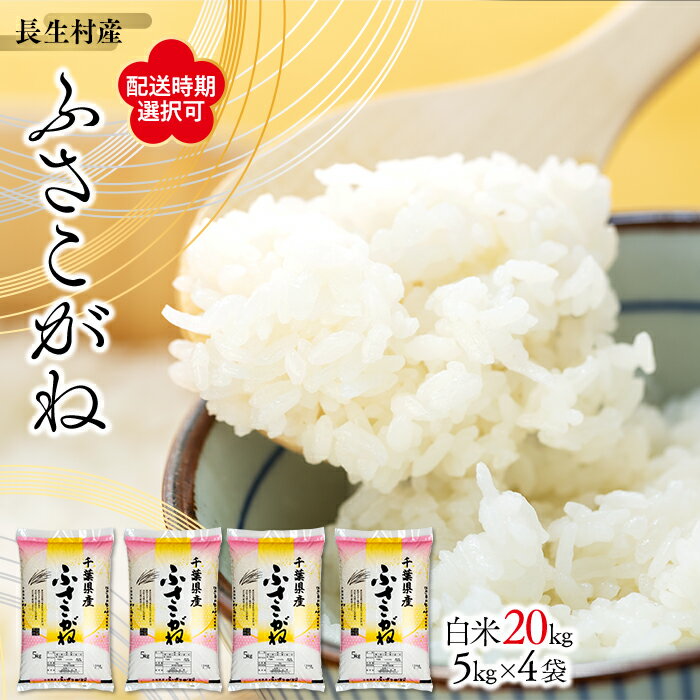 【ふるさと納税】 【令和6年産】長生産ふさこがね（白米20kg）【配送時期選択可】 白米 精米 おにぎり お弁当 もっちり 米 20キロ ふるさと 納税 千葉県 長生村