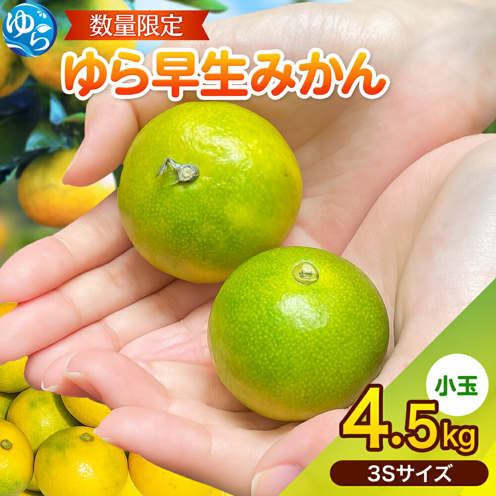 【ふるさと納税】 みかん 小玉 ゆら早生 / 4.5kg 3Sサイズ 8000円 早生 小粒 こだま こつぶ 極早生 数量限定 ※2025年10月中旬～順次発送