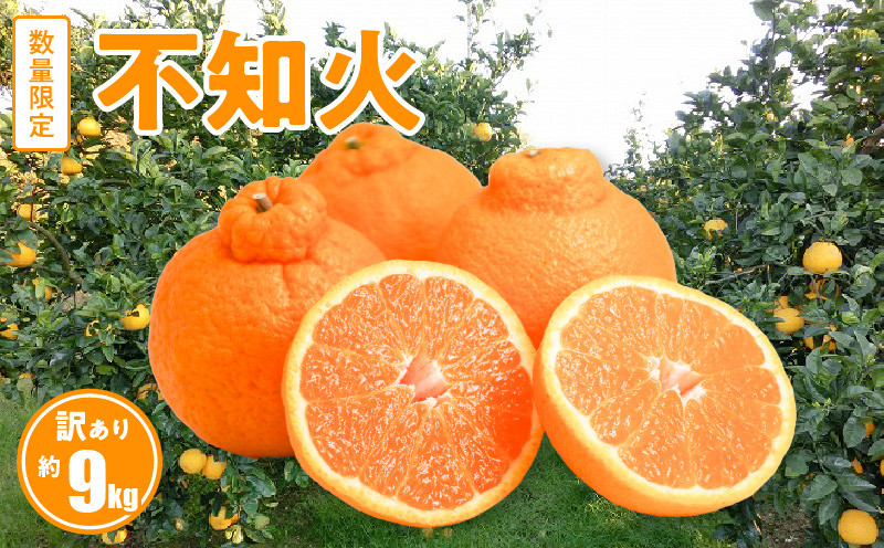 
            S086-007_訳あり 不知火 約 9kg 数量限定〈先行受付〉
          